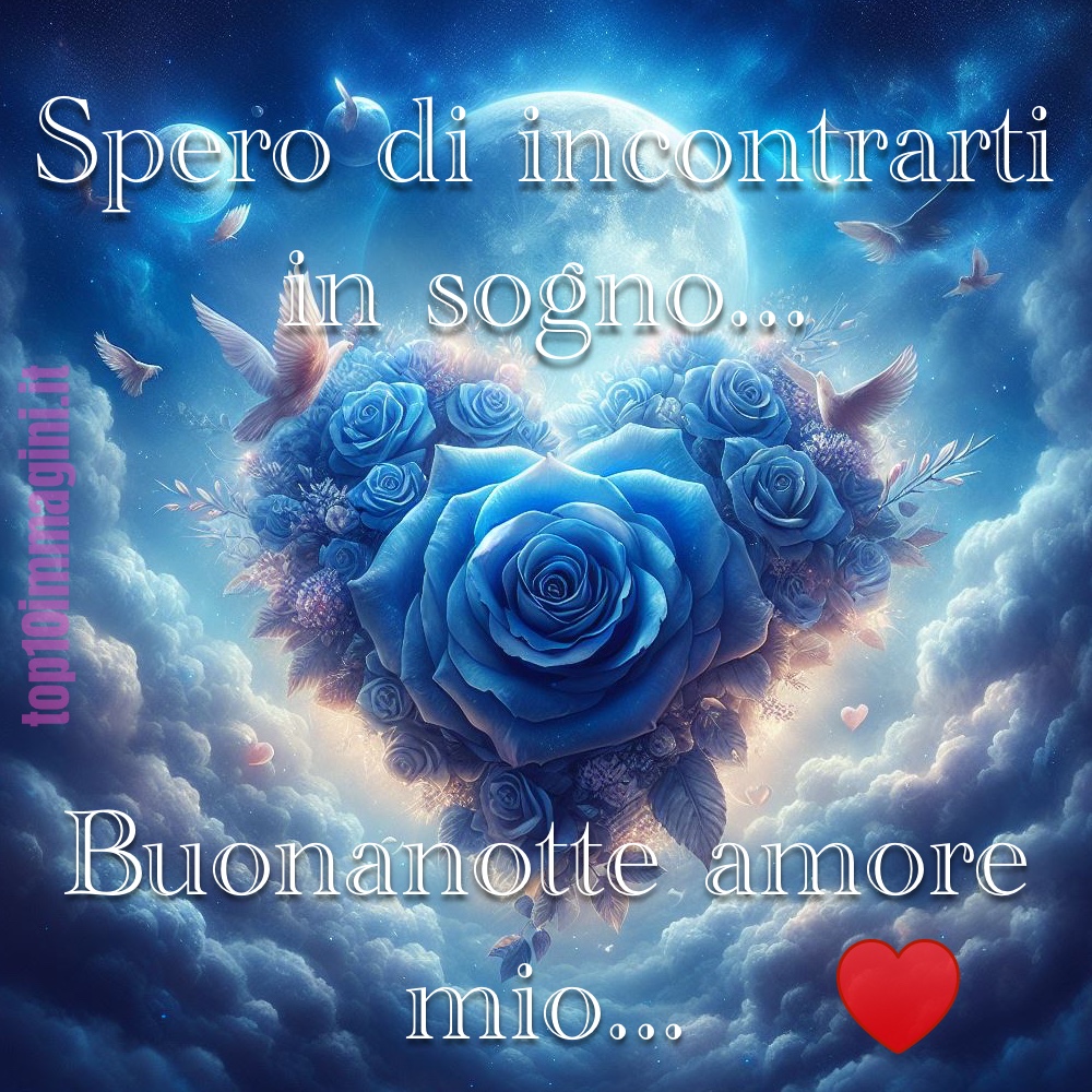 Buonanotte Amore Mio