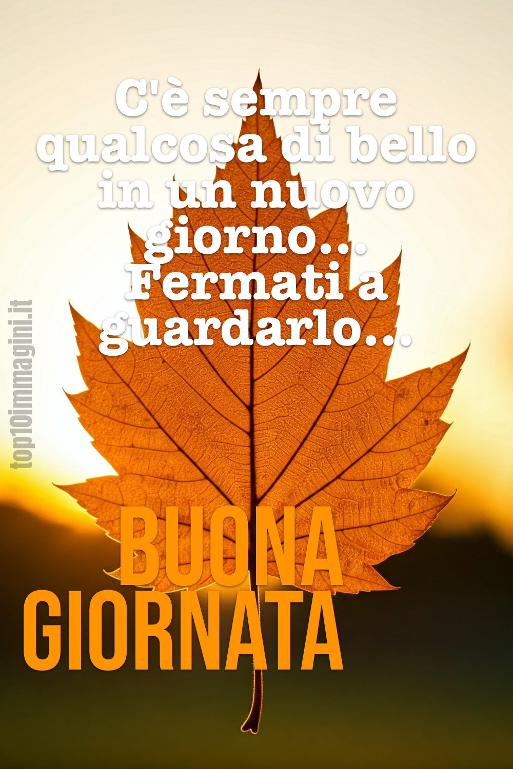 buona giornata d'autunno immagini nuove